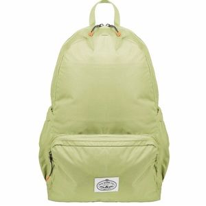 Mint Green Polar Backpack new with tags!
